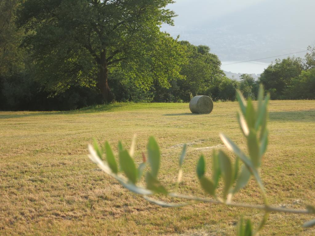 Agriturismo Deviscio Леко Екстериор снимка
