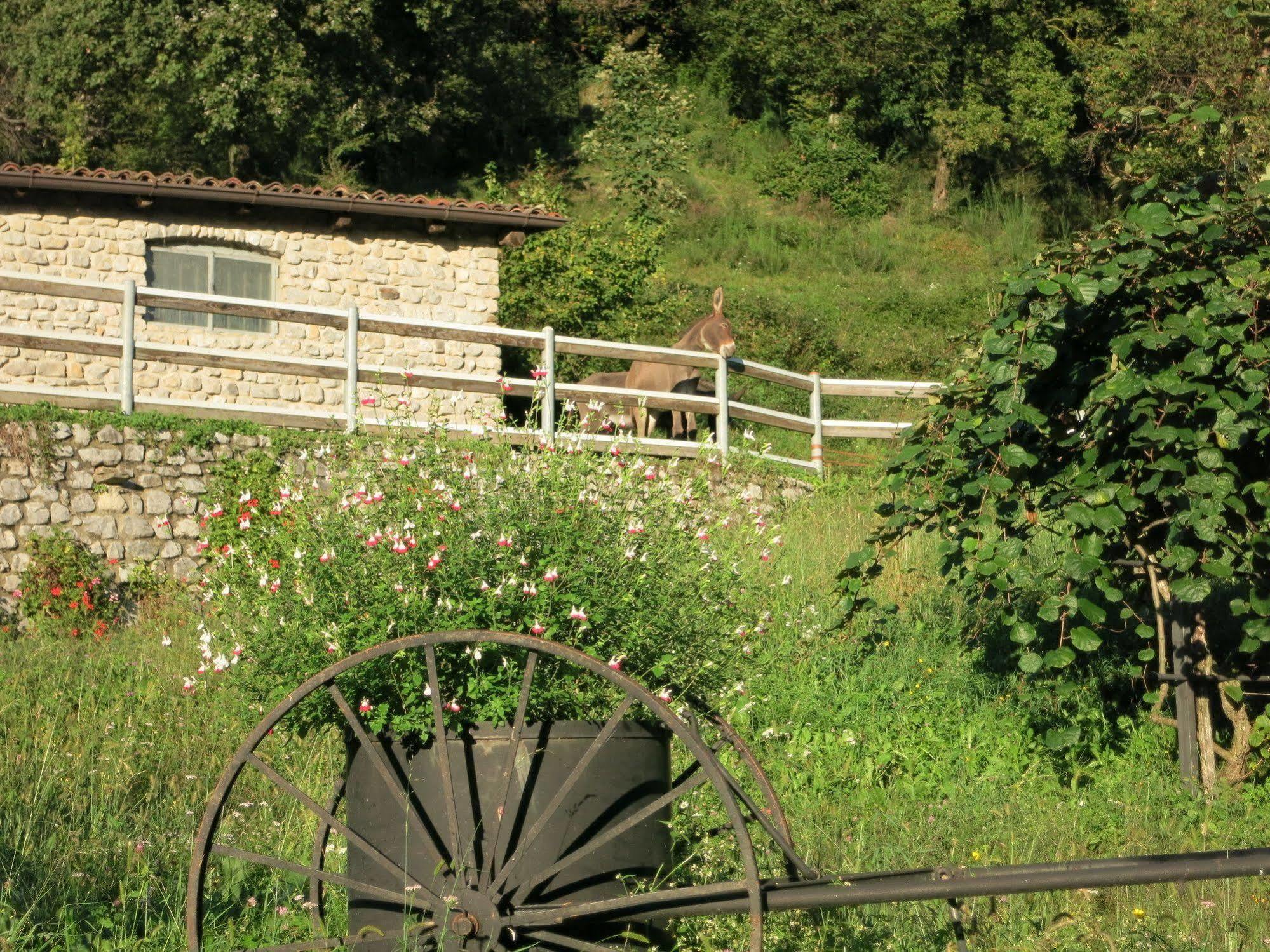 Agriturismo Deviscio Леко Екстериор снимка